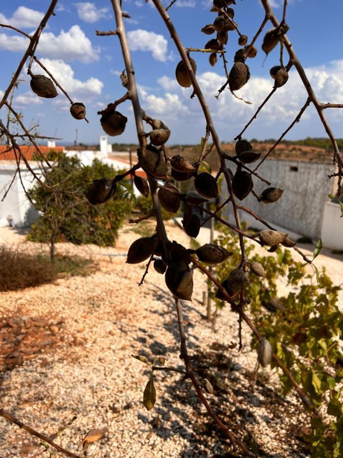 Vila Casa Da Eira Reguengos de Monsaraz Exteriér fotografie