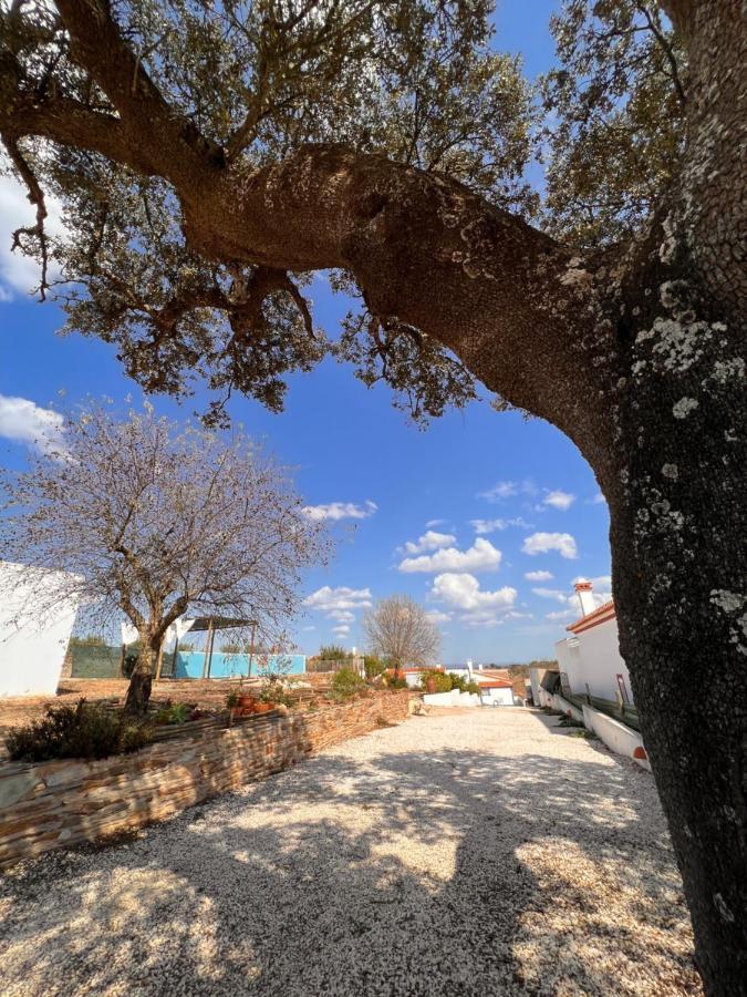 Vila Casa Da Eira Reguengos de Monsaraz Exteriér fotografie